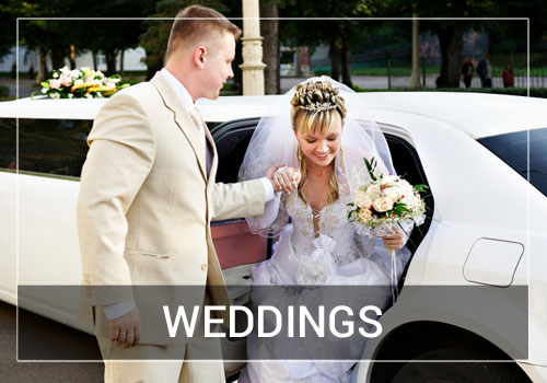 Wedding Party Bus Rental Las Vegas